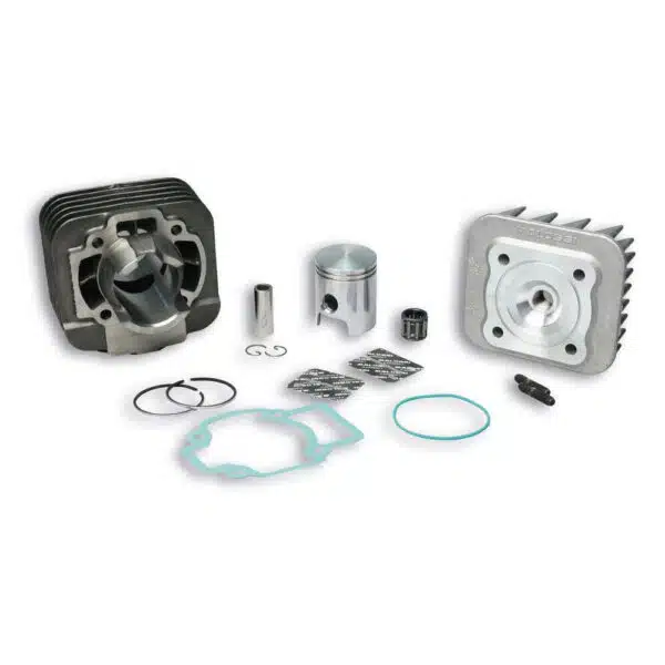 Malossi cilinder 50CC Piaggio 2T AC 318520